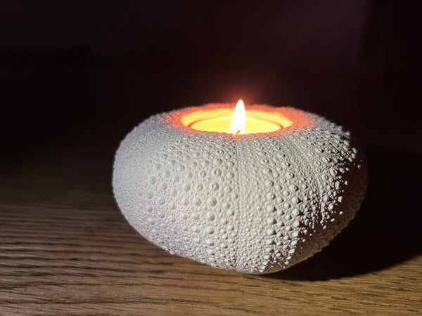 Kina Tealight (Limited Edition)
