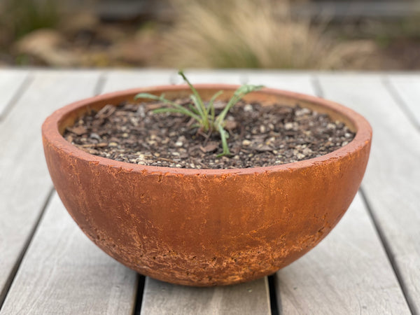 Hemisphere Planters (Concrete Garden Planters)