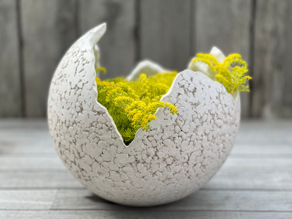 Shell Planters (Concrete Garden Planters)