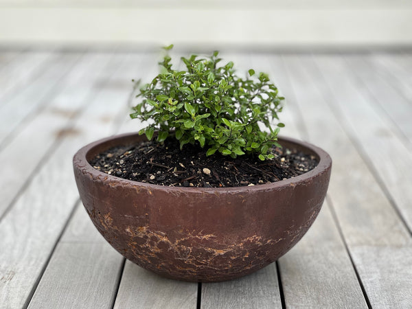 Hemisphere Planters (Concrete Garden Planters)