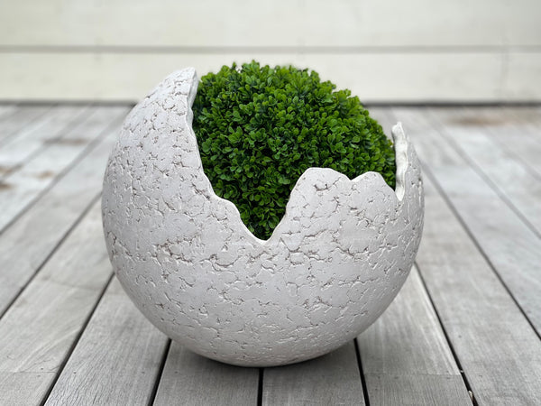 Shell Planters (Concrete Garden Planters)
