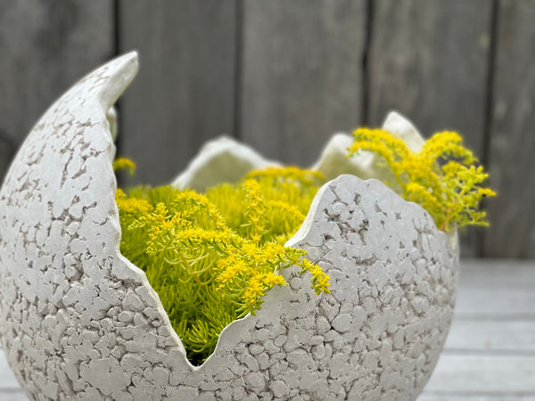Shell Planters (Concrete Garden Planters)