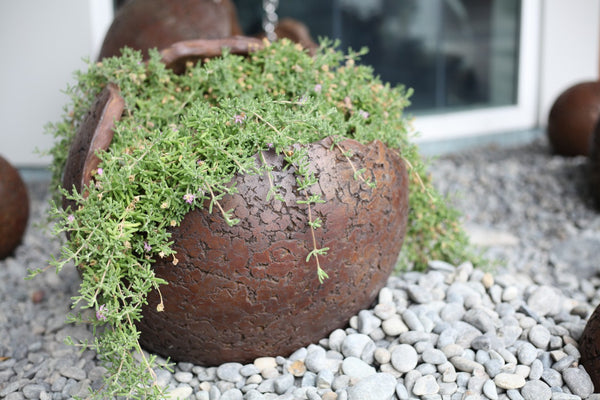 Shell Planters (Concrete Garden Planters)